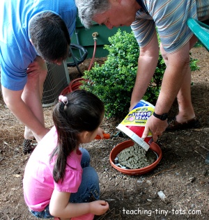 Pouring the cement for the stepping stone Pouring the cement for stepping stone