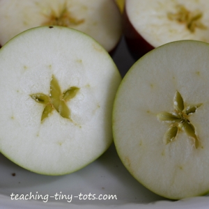 apple star apple star