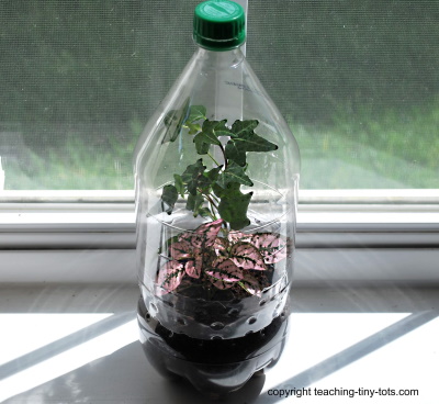 Toddler Science: Make a Soda Bottle Terrarium with your child. Toddler Science: Make a Soda Bottle Terrarium with your child.