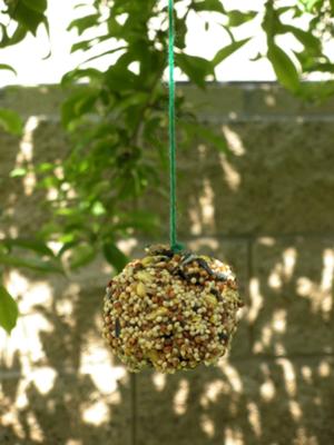 Birdseed Pine Cones