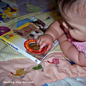 Board books for toddlers