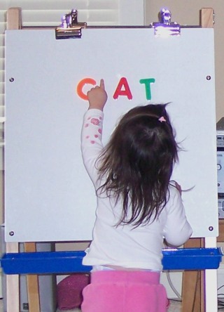 magnetic easel and white board