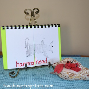 Make a flip ocean book for kids.