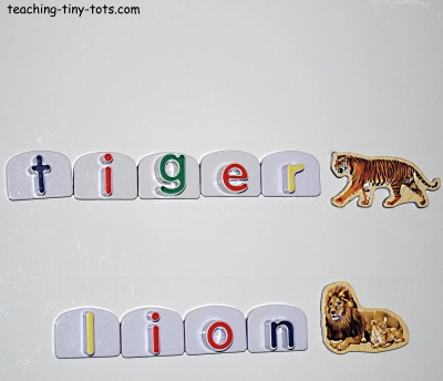 Magnetic Letters and Animals