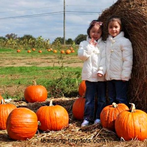 pumpkin carving activity