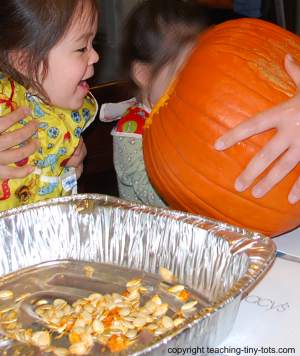 pumpkin seeds