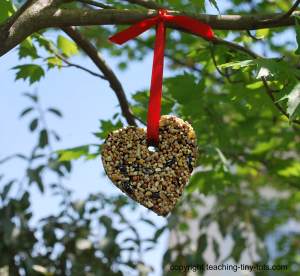 birdseed buiscuit