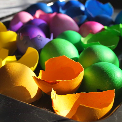 Coloring eggshells to make a mosaic.