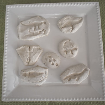 Make these cool dinosaur fossils with air dry clay.