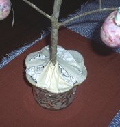 Taping the branch into the pot to make an Easter tree to hold ornaments.