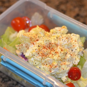 egg salad on a bed of lettuce