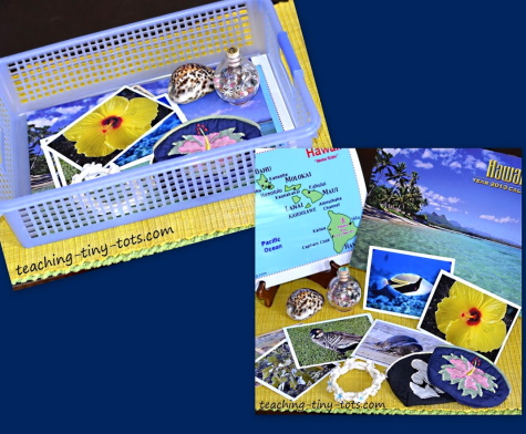 Create a center with a basket for each state you are learning about.