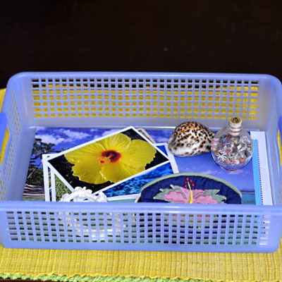 Make a basket with items to represent each state.