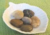 Rocks to make Pet Rocks