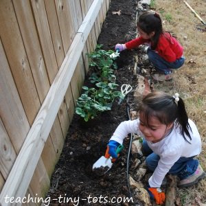 planting with kids