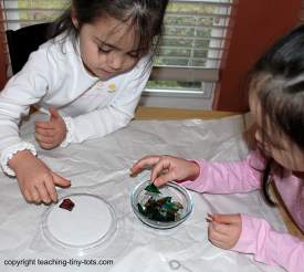 making a plaster of paris coaster