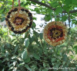 Birdseed Medallions