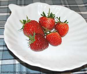 growing strawberries