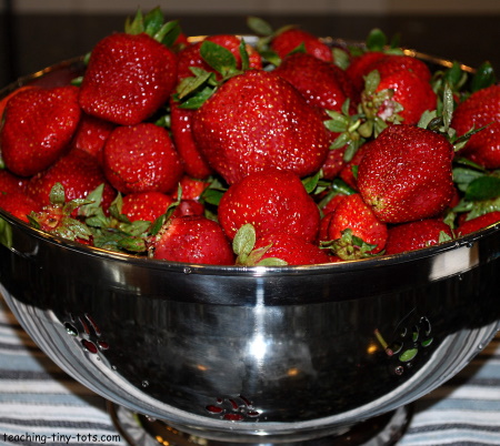 Fresh picked strawberries make the best treats and jams.