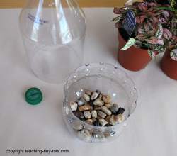 how to make a terrarium using a soda bottle