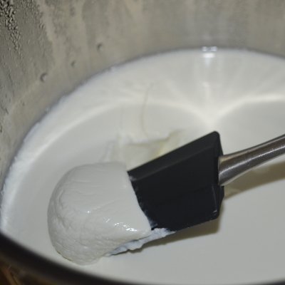 Instant Pot Yogurt after Chilling